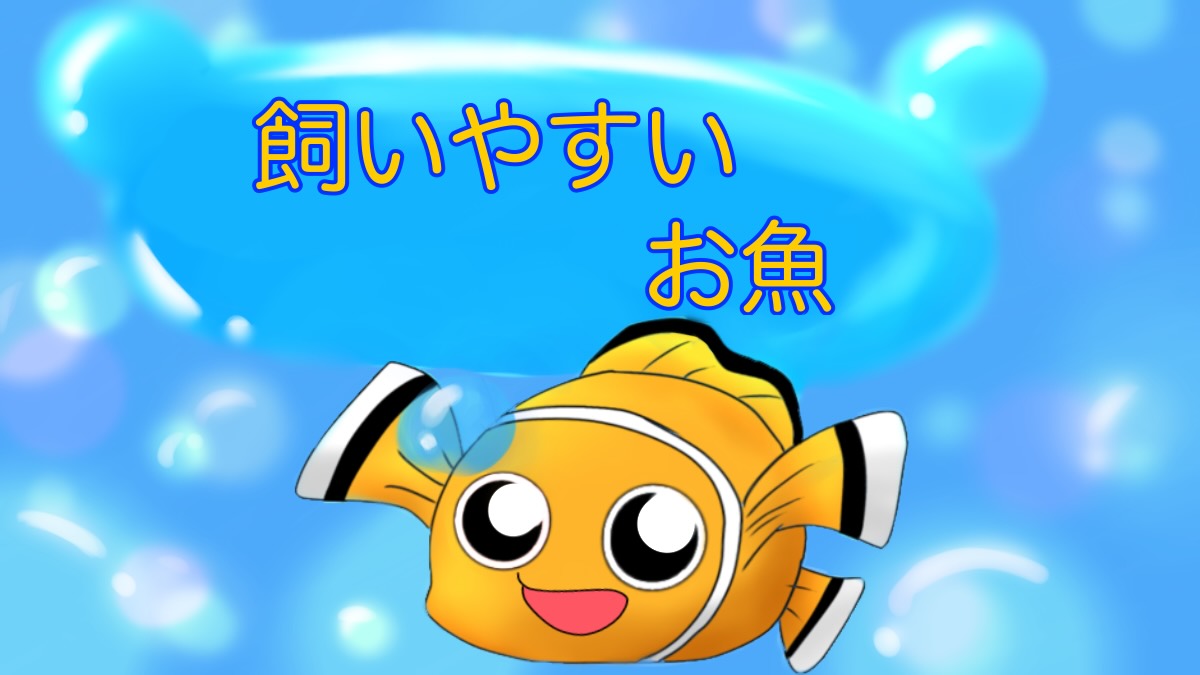 飼いやすいお魚